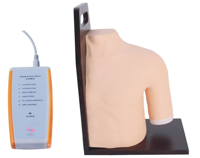 高級電子肩關(guān)節(jié)腔內(nèi)注射模型
