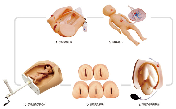 高級(jí)腹部觸診、分娩機(jī)轉(zhuǎn)綜合模型