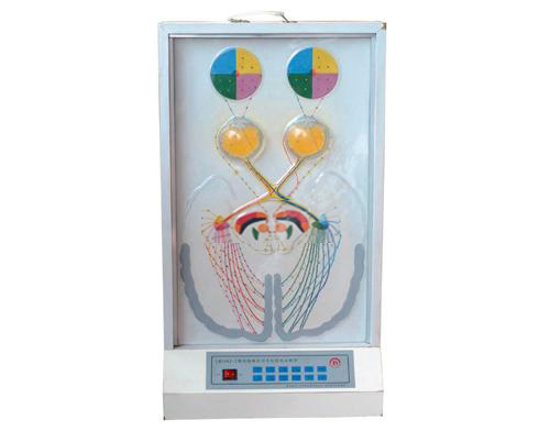視覺傳導瞳孔對光反射電動模型