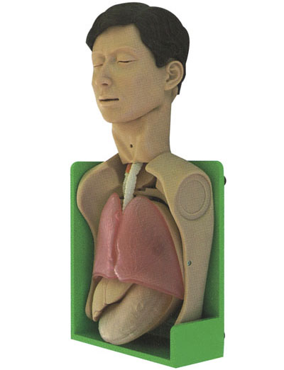 透明洗胃、胃腸減壓仿真標(biāo)準(zhǔn)化病人